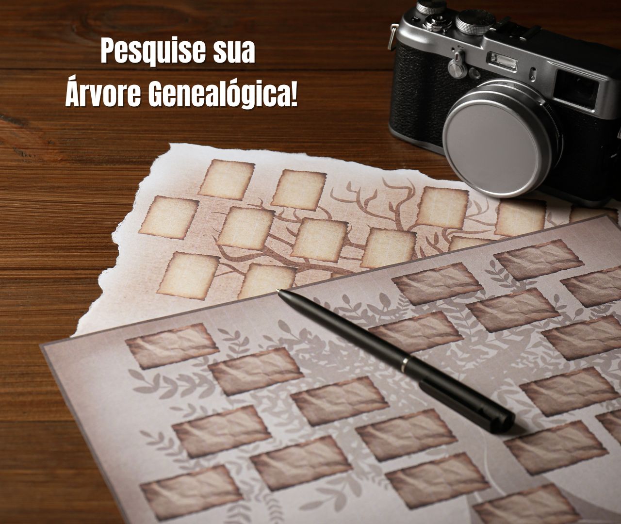 Comece a sua busca